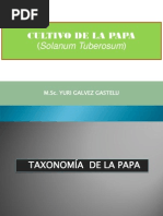 Taxonomia y Morfologia de La Papa