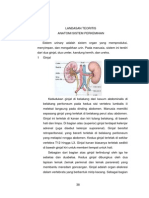 Anatomi Sistem Perkemihan