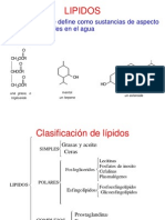 LIPIDOS