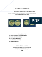 Bacillus Subtilis