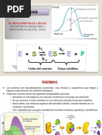 ENZIMOLOGIA