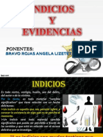 Indicios y Evidencias Finalizado.