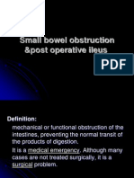 Bowel Obstruction Vs Ileus