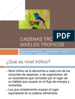 Cadenas Troficas y Niveles Troficos