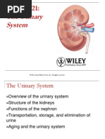 Anatomy and Physiology