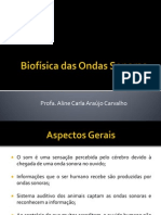 Biofísisca - Biofísica Das Ondas Sonoras Biofísica Das Ondas Sonoras