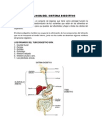 Fisiologia Del Sistema Digestivo. Guia.