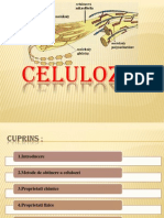 Celuloza Proiect