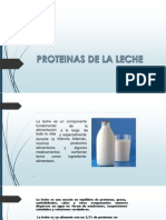 Proteinas de La Leche Bio