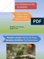 Especies Endemicas Del Ecuador