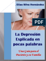 La Depresion Explicada Pocas Palabras-Una Guia para Paciente Familiares