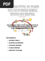 Proyecto Alcohol de Paja de Trigo