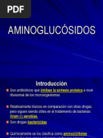 AMINOGLUCÓSIDOS