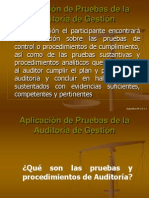 Aplicación de Pruebas de La Auditoría de Gestión