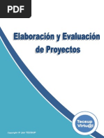 Elaboración y Evaluación de Proyectos - Tecsup - Cap 1