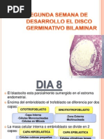 Disco Germinativo Bilaminar