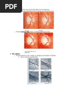 Fundus Photo