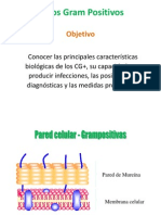 Cocos Gram Positivosoct13