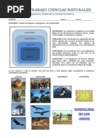 Guia de Aprendizaje - El Flujo de La Energía