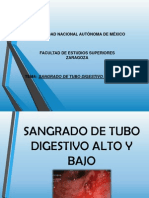 Sangrado de Tubo Digestivo Alto