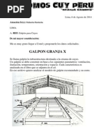 Costos de Producciòn Galpòn Base