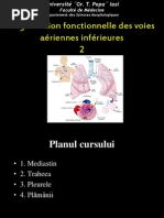 Organization Functionelle de Les Voies Respiratoires Inferieures