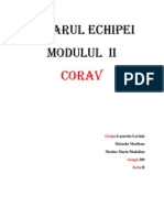 Dosarul Echipei Corav