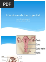 Infecciones de TG