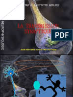 Intégration Post-Synaptique