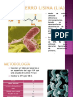 Agar Hierro Lisina (LIA)