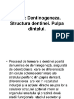 Dentinapulpa DAA2014