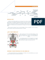 La Lumbalgia