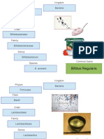 Phylogenetic Project Powerpoint