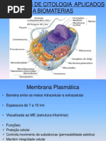 Conceitos de Citologia Aplicados A Biomateriais