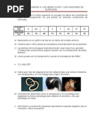 Ejercicios Unidad 4. Los Seres Vivos y Las Funciones de Nutrición