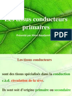 Cours 4 - Les Tissus Conducteurs Primaires 1 PDF