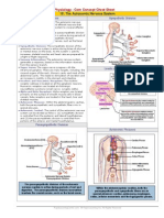 Autonomic Nervous System