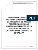 Determinación de Los Factores Que Influyen en La Presencia de Anemia Ferropénica en Las Mujeres Gestantes de La Posta de Salud 4 de Octubre en El Distrito de Socabaya