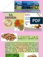 Lentejas