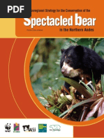 Spectacled Bear