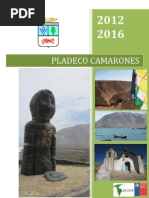 Pladeco Camarones 2012 Al 2016