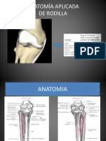 Anatomía Aplicada Rodilla