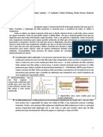 3º RESUMO BMC, Reparo, Transcrição e Tradução PDF