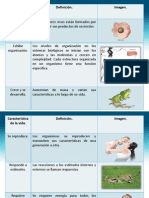 Características de La Vida. ¿Cómo Se Define La Vida?