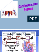 Cardiac Disorders