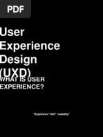 Presentation On User Experience Design