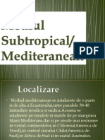 Mediul Subtropical