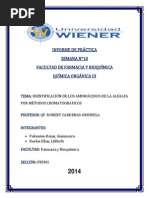 Informe de Practic 10 IDENTIFICACIÓN DE LOS AMINOÁCIDOS DE LA ALFALFA POR MÉTODOS CROMATOGRAFICOS