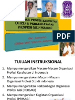 Organisasi Profesi Kesehatan (Gizi) & Perkembangan (Ok Ep Sep 2013)