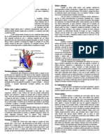 Fisiologia Do Sistema Circulatório